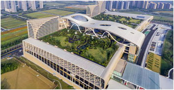 回顧 杭州建工匠心七十筑夢(mèng)百年